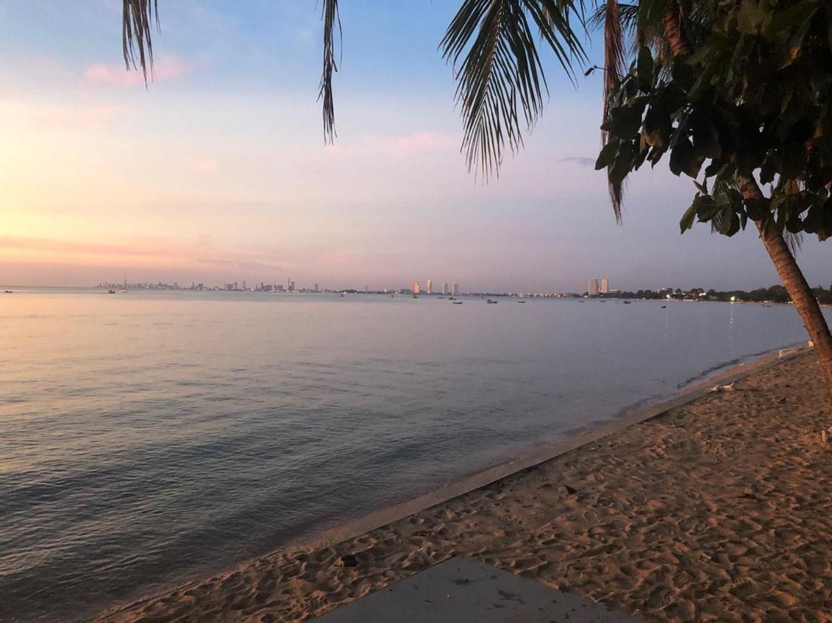 度假村 4号棕榈度假村